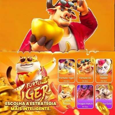 24bet